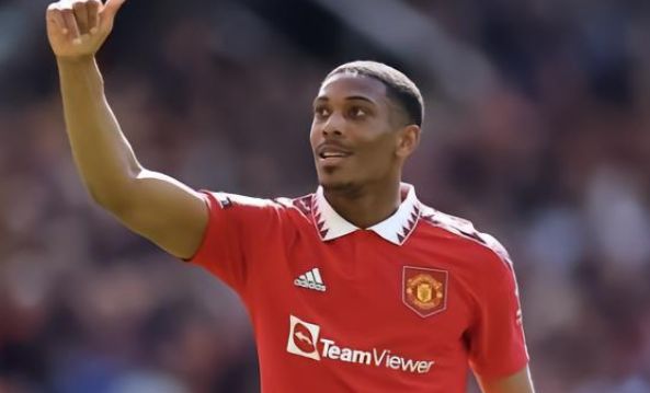 适应体系 适应体系