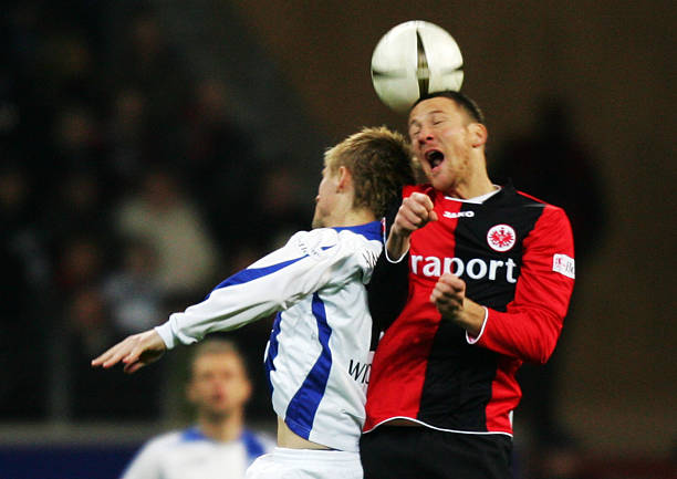 情感动态 情感动态