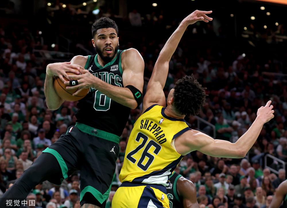 马术比赛 马术比赛